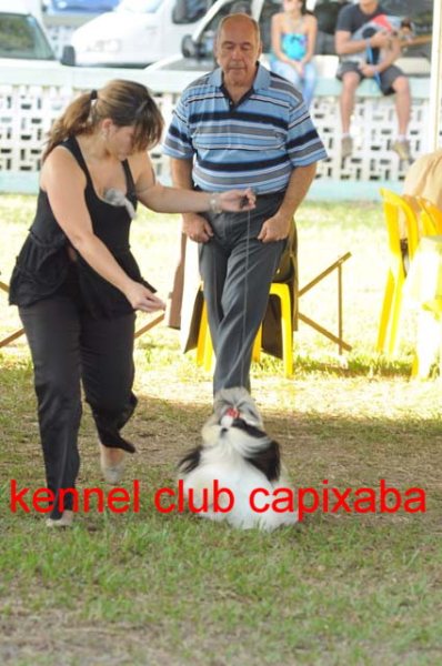 Clique sobre a foto para fechar